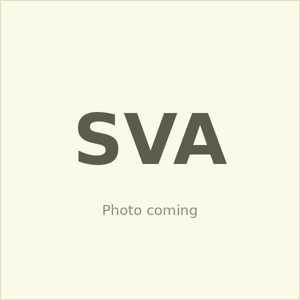 Sean Verdi-Ashton